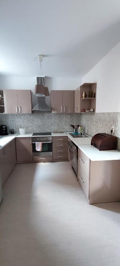 Hysteria Central Flat Oradea Exteriér fotografie